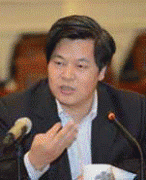 很多委员也提到了这个